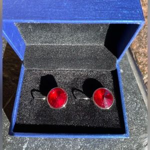 Red round leverback earrings